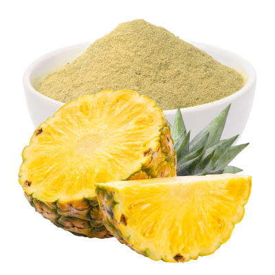 Spray Dried Pineapple Powder