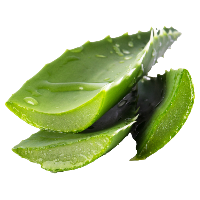 Aloe Vera Gel