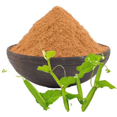 Cissus quadrangularis (Pirandai) stem powder