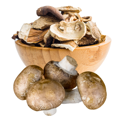 Dried Mushrooms