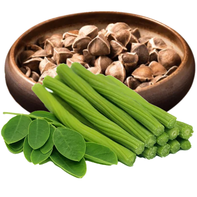 Moringa seeds / powder
