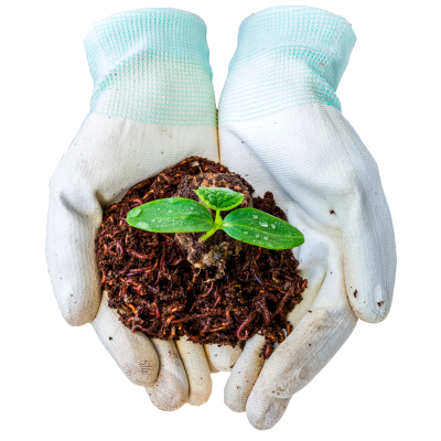 Vermicompost